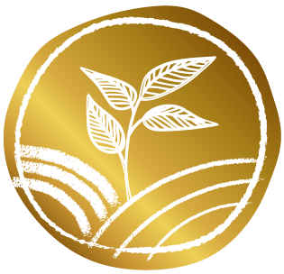 Logo Armelle Charon Naturopathe
